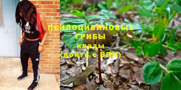 СК Белокуриха