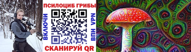 Галлюциногенные грибы прущие грибы  купить наркотик  Великий Устюг 